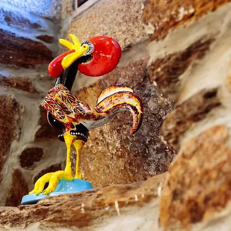 Casa Do Avo Tamanqueiro Landsted Arco de Baulhe